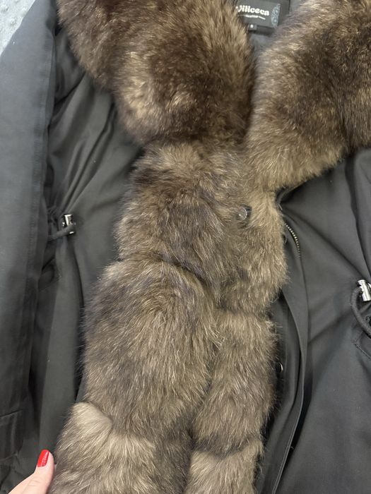 Парка песец зима