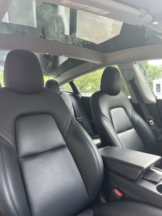 Tesla Model 3 Standart RWD Plus