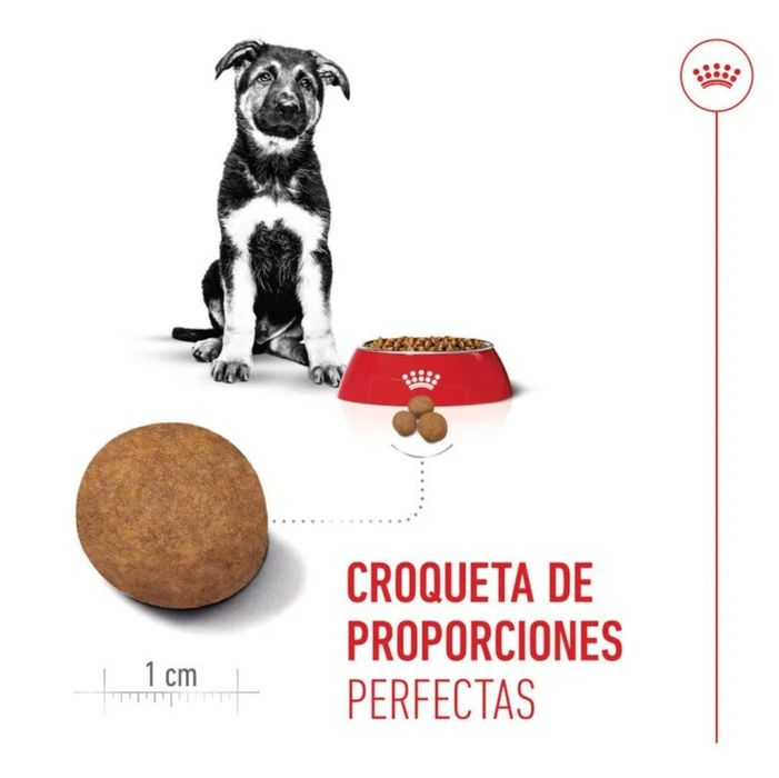 Royal Canin PUPPY MAXI 15KG