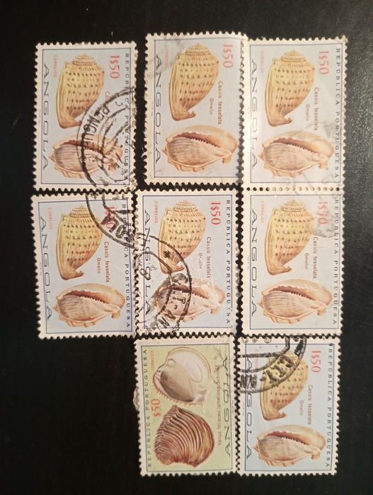 8 selos - Conchas de Angola 1974 - Carimbados. Em excelente estado
