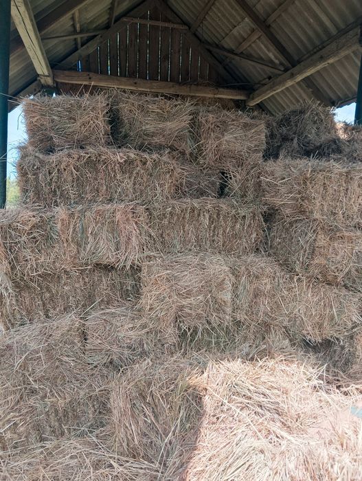 Продам сіно в тюках