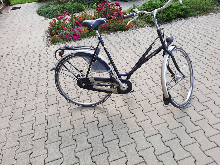 Rower damka holenderka