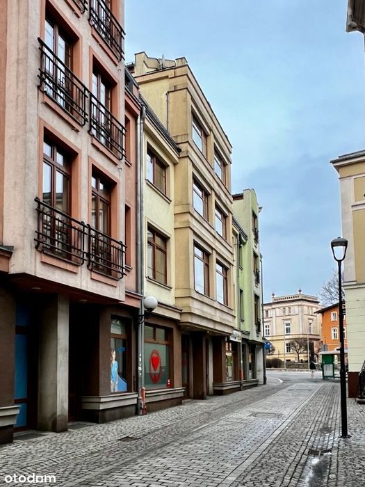 Nowoczesne mieszkanie w ścisłym centrum