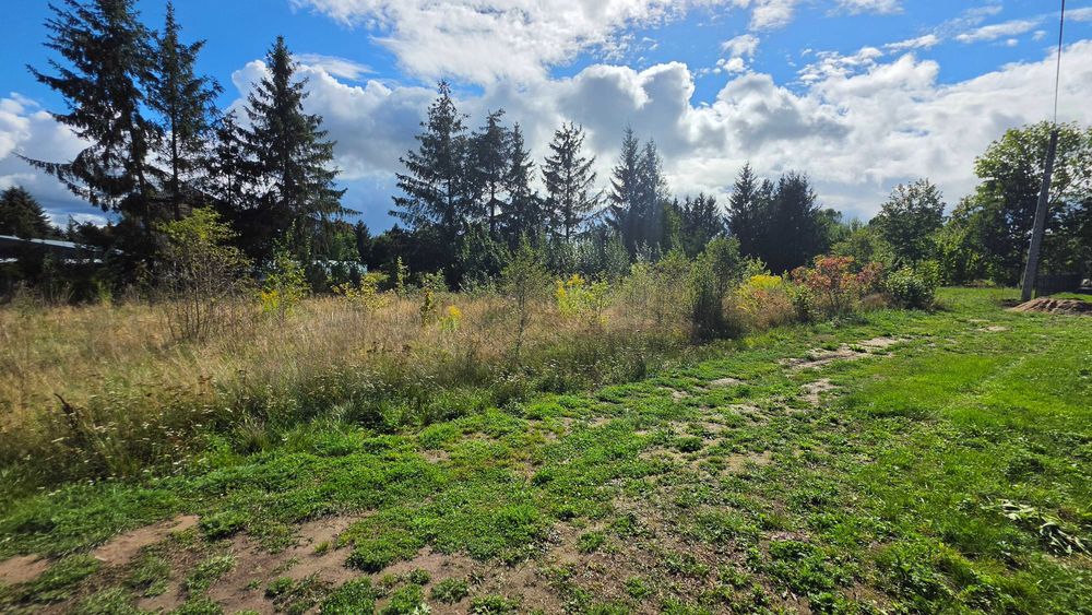 Działka budowlana TUROŚŃ KOŚCIELNA ul. JESIONOWA 750 m² - Widok 4