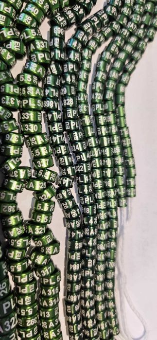 Obrączki na kanarka 1,1zł za szt