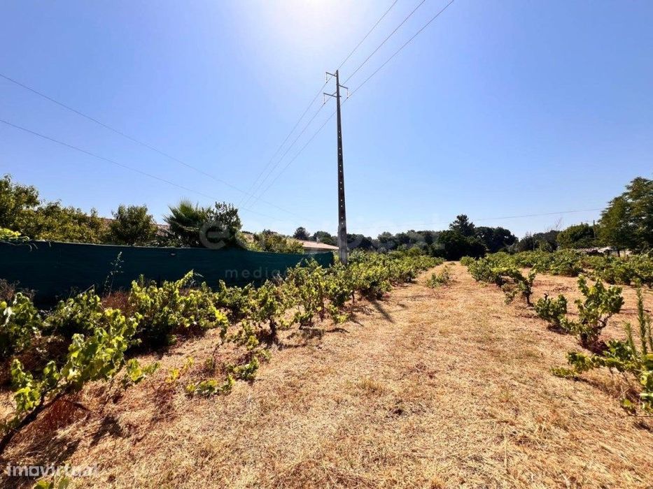 Terreno com possibilidade construção com luz e água em Abrantes — Pego, Santarém