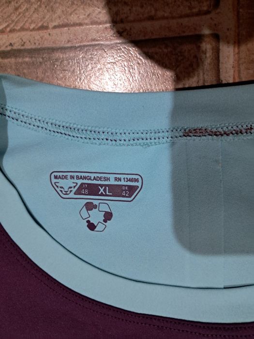 Кофта Dynafit Alpine Pro Longsleeve Women