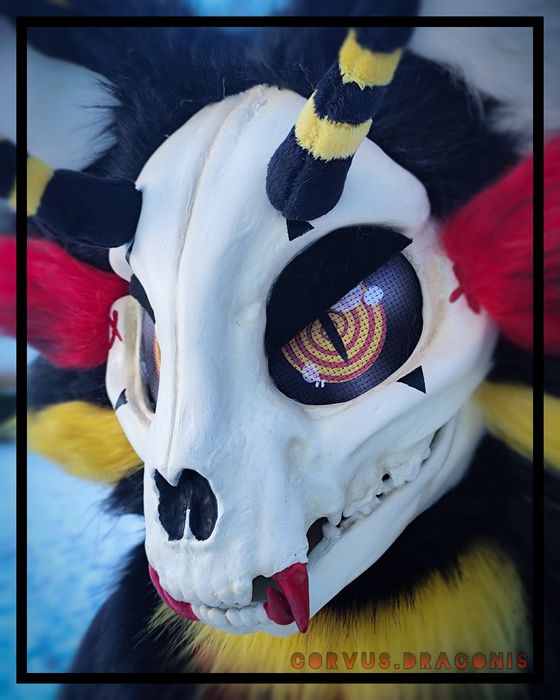 Fursuit skullcat + ogon