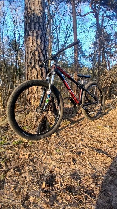 Dartmoor gamer 26
