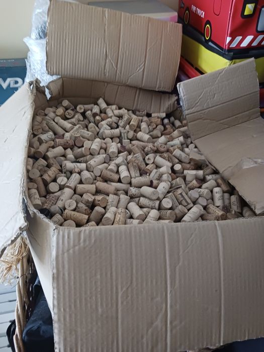 Rolhas de cortiça