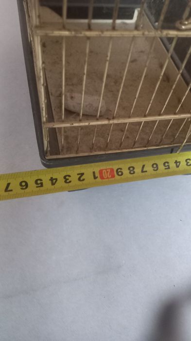 Klatka dla ptaków mewek zeberek papug kanarka