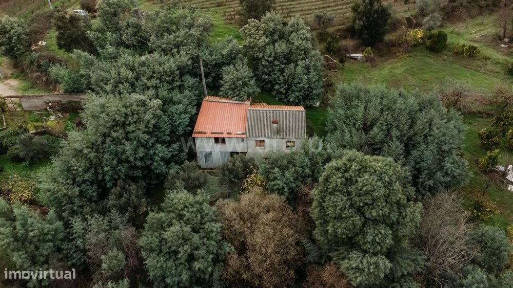 Quinta T1 / Fundão, Vale Prazeres