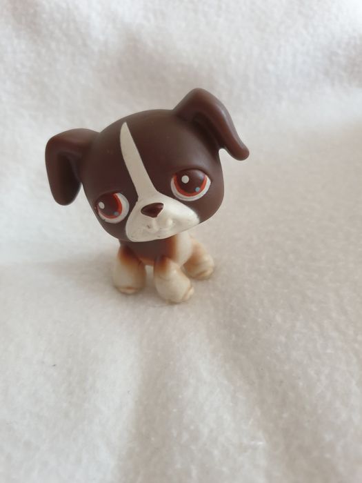 Littlest pet shop- piesek ze starej kolekcji