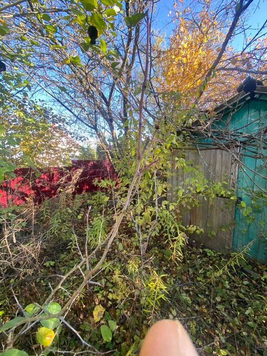 ділянка у селі Романівка в дачному кооперативі, Тернопіль за 15 км.