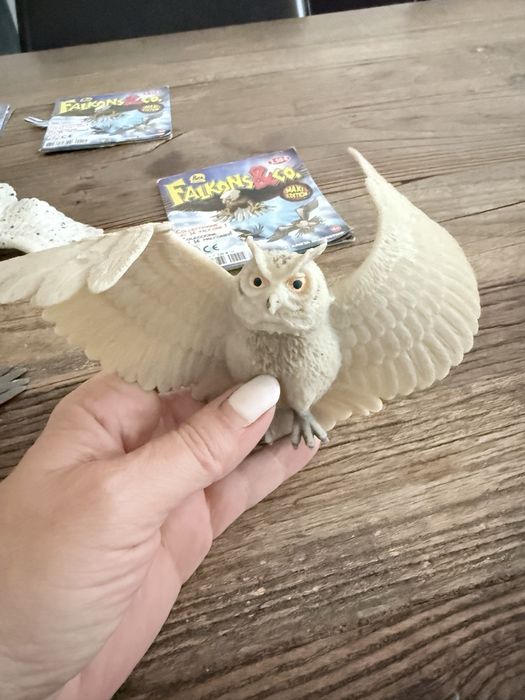 15 animais da Falcons, Bats, Sharks & Co