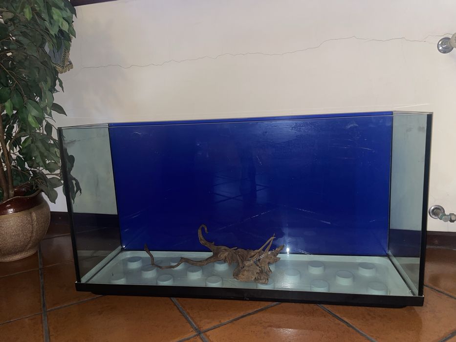 Aquário 180L Completo – Fluval + EHEIM + Acessórios