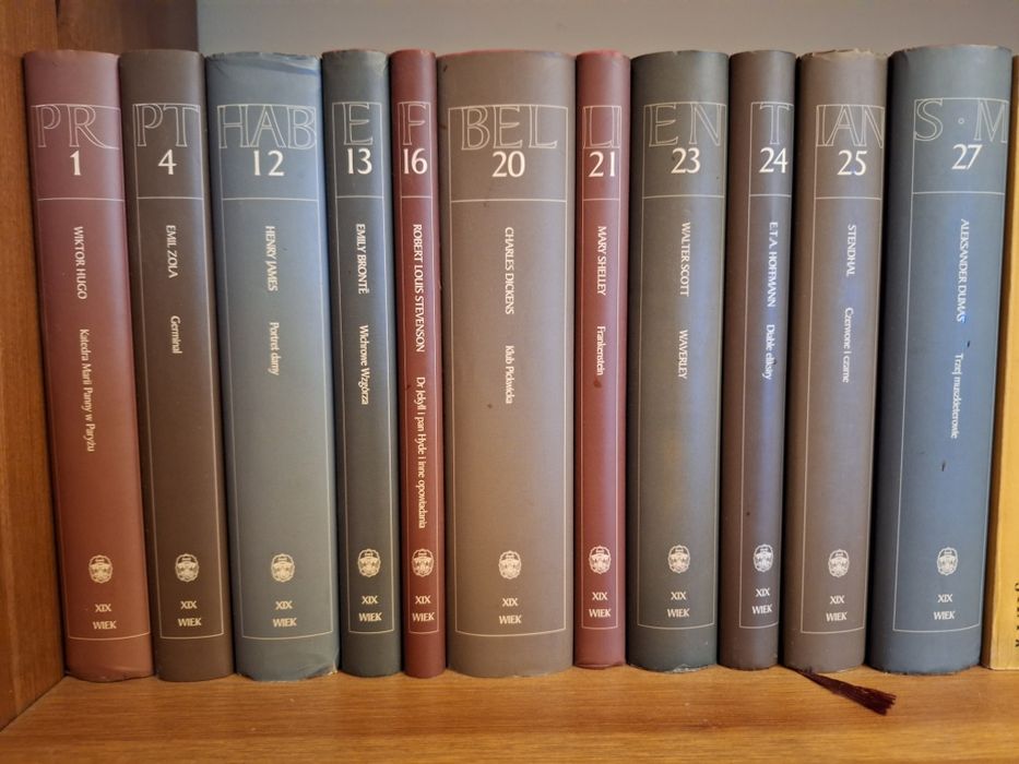 Biblioteka Gazety Wyborczej. XIX wiek, 11 tomów