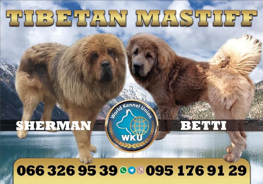 Шикарный мальчик предлагает свои услуги