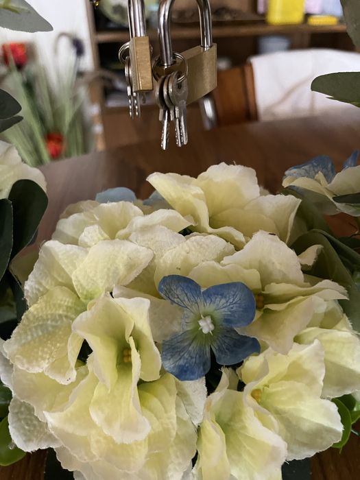 Porta alianças casamento