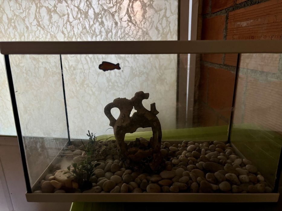 Aquario com kit completo