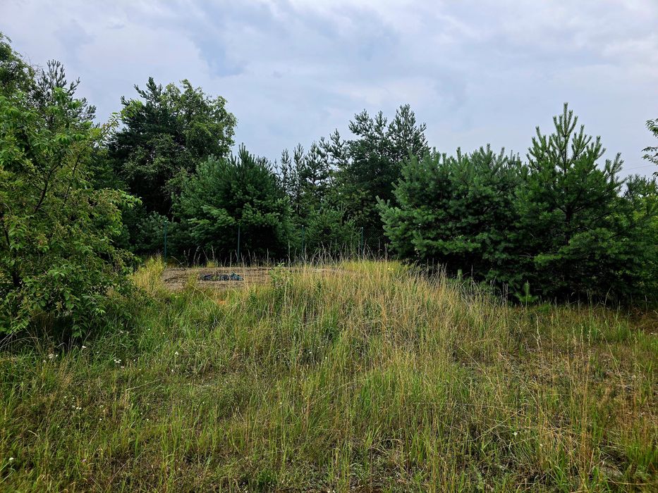 Działka budowlana 1000 m² Włocławek Rybnica - Widok 4