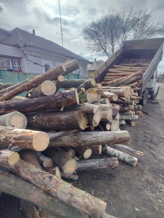Дрова колоті дуб ясен сосна береза