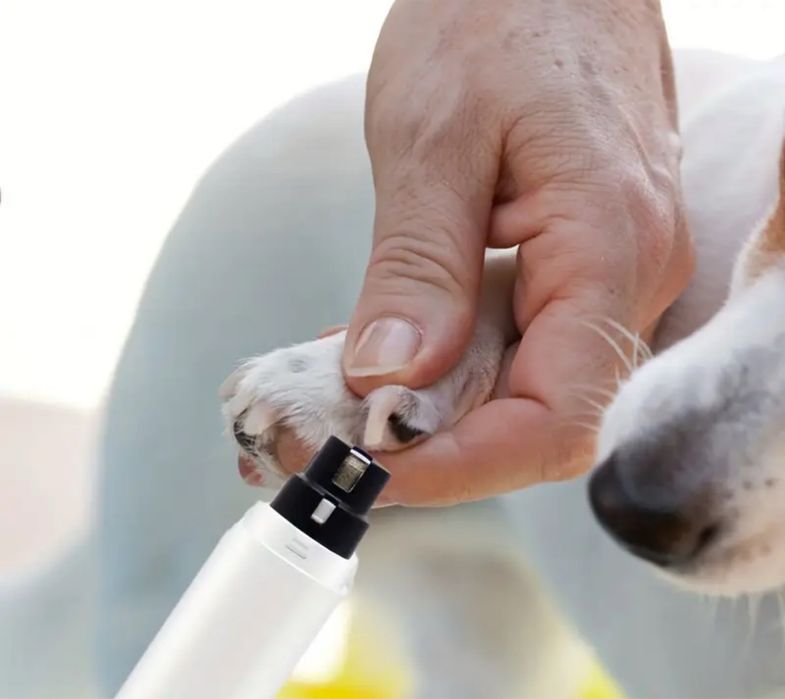 Грумінг-тример для собак і котів