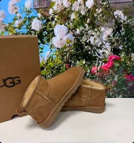 UGG Classic Mini Boots Chestnut r.37