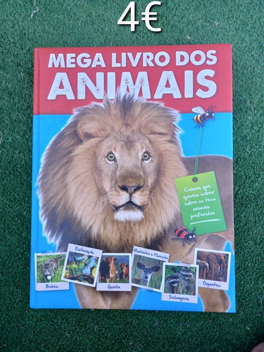 Vários livros para crianças