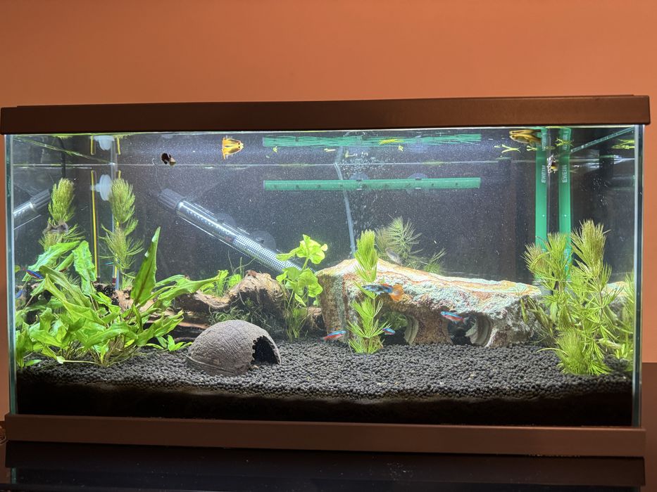 Aquario 48L ciclado