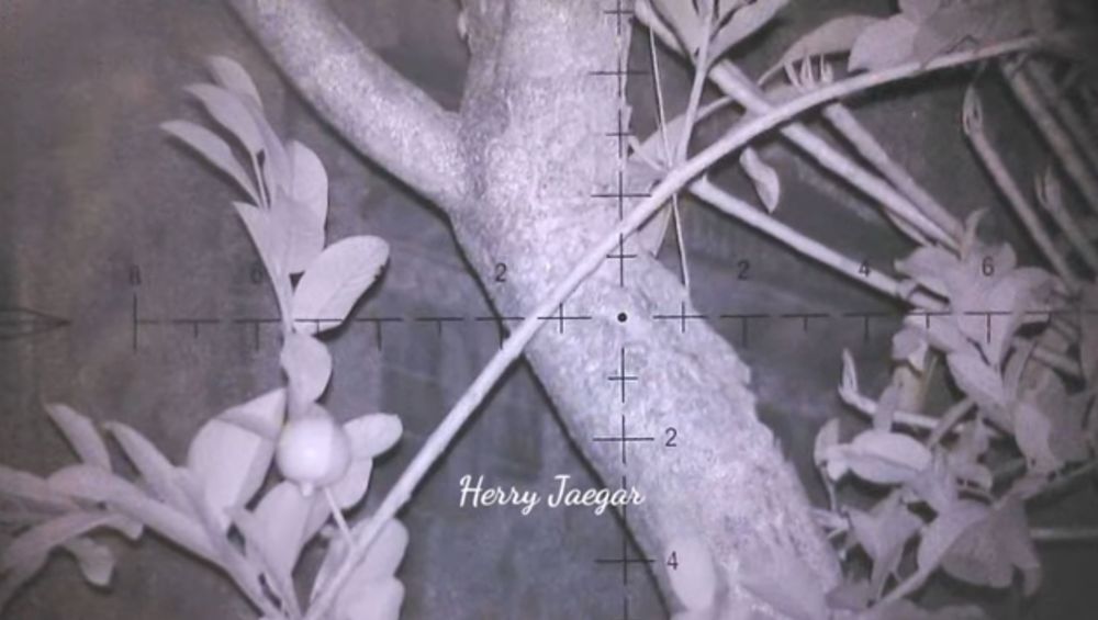 Цифровая насадка на прицел, ночного видения Megaorei 007