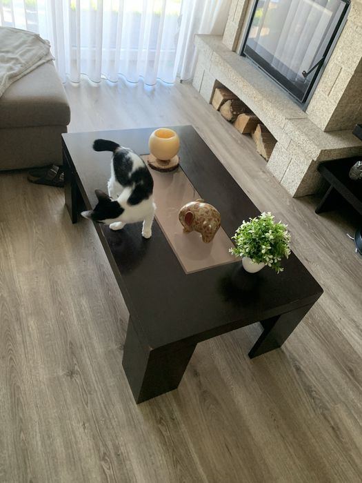 Conjunto de sala