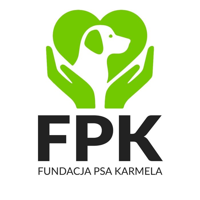 Szukamy domów tymczasowych