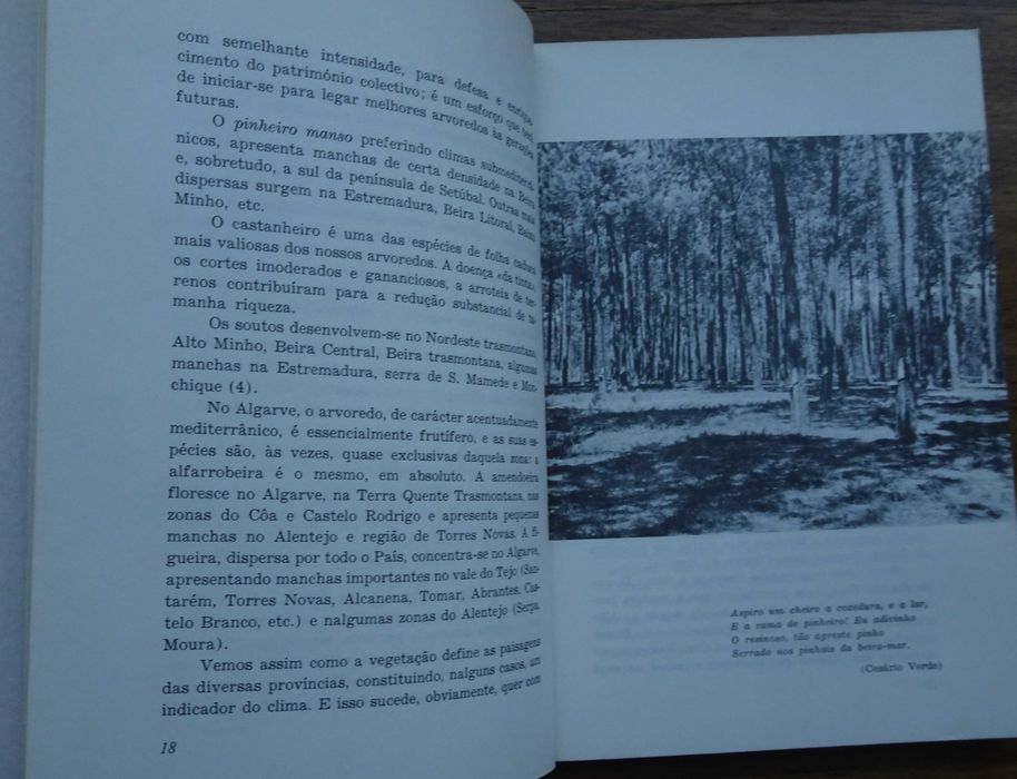 Portugal A Expressão da Paisagem de Gonçalo Santa-Ritta