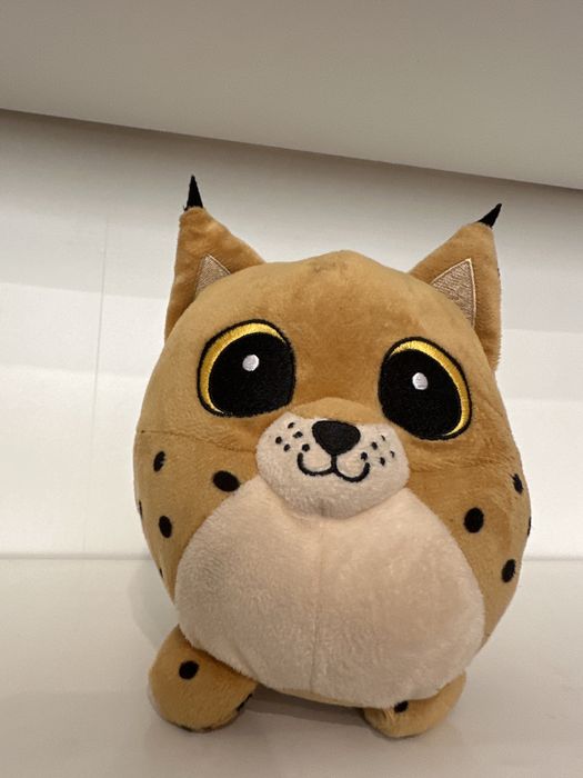 Ryś dzikie zwierze gang słodziaków