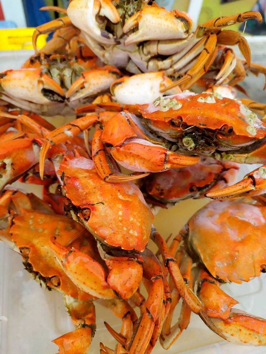 Крабы, раки, креветка, морепродукты. Живые, вареные.