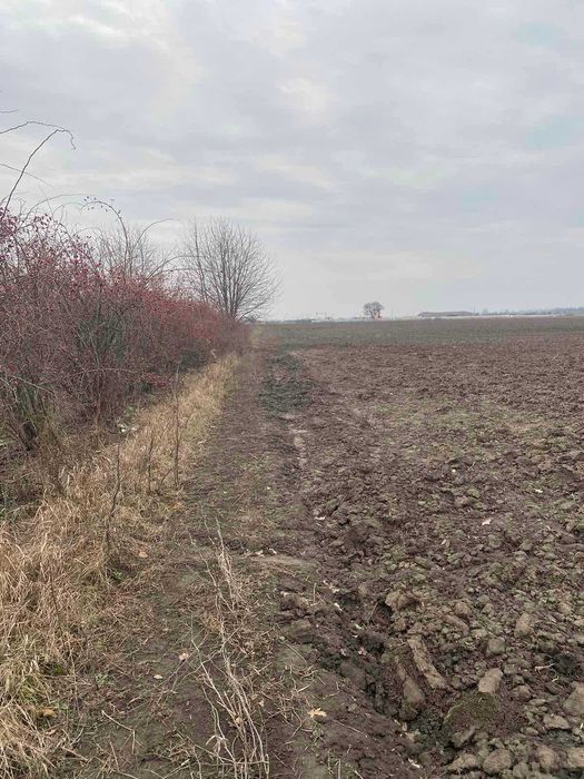 Продаж земельної ділянки, с/г призначення, Немирівське шосе, 140 соток