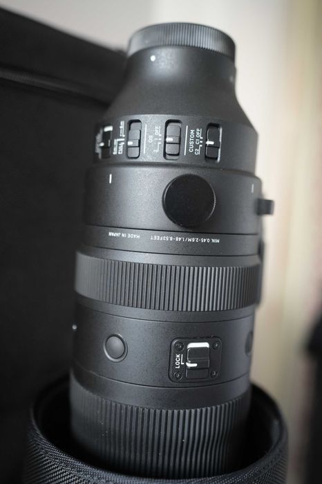 Sigma 60 600 Sony E 4.5 6.3 DG DN