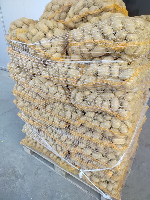 Queen Anna ziemniaki