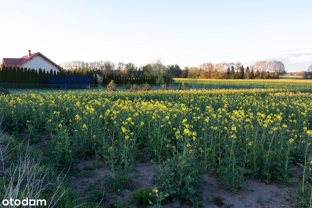 Działka budowlana 1 138 m² w spokojnej i pięknej okolicy - View 3