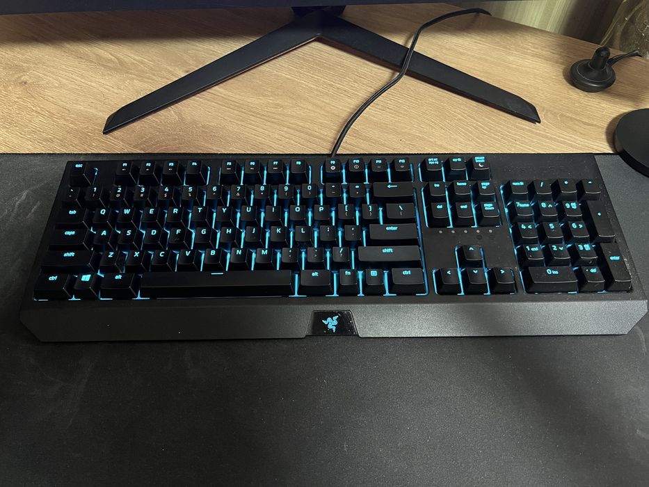 Razer blackwidow green switch