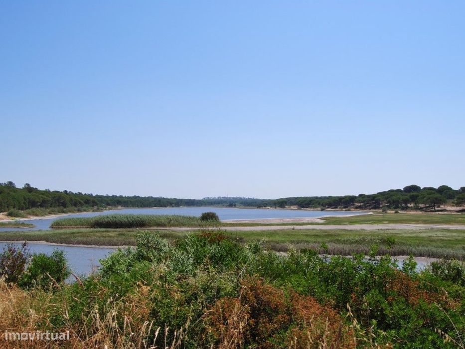 INVESTMENT: 25-hectare plot for a Rural Hotel in Carvalhal