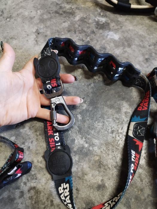 Conjunto zeedog cão médio