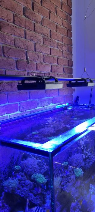 Zestaw oświetleniowy Ecotech XR15 G6 Blue LED do akwarystyki morskiej
