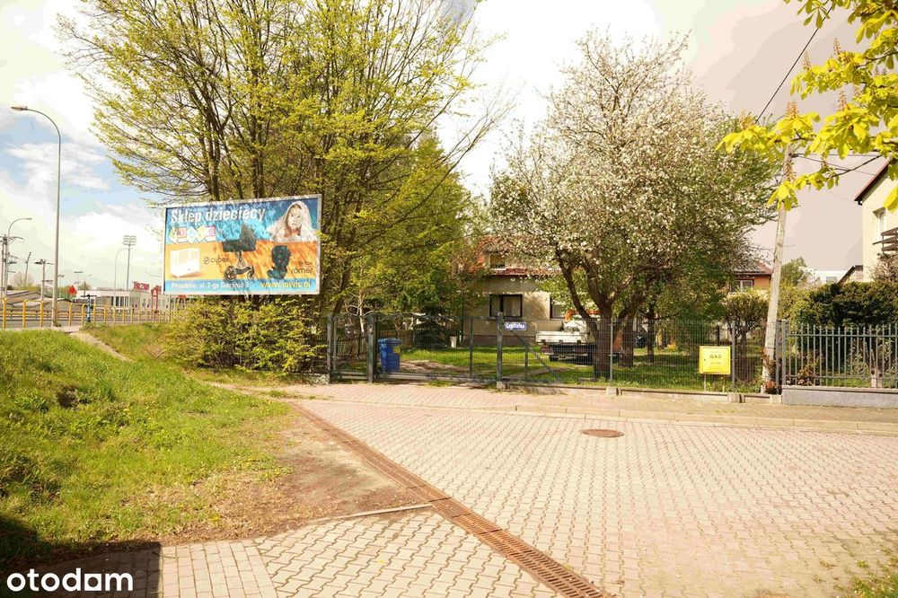Zdjęcie 7