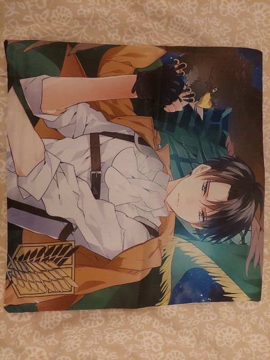 Fronha attack on titan