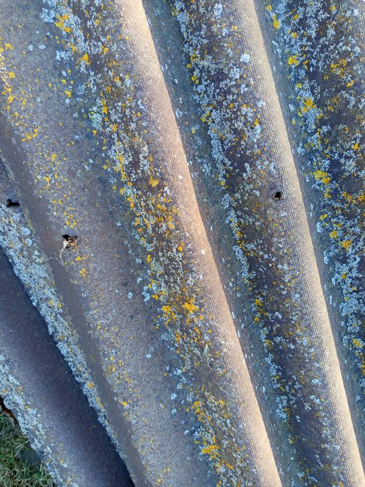 Ondulina, płyta na dach