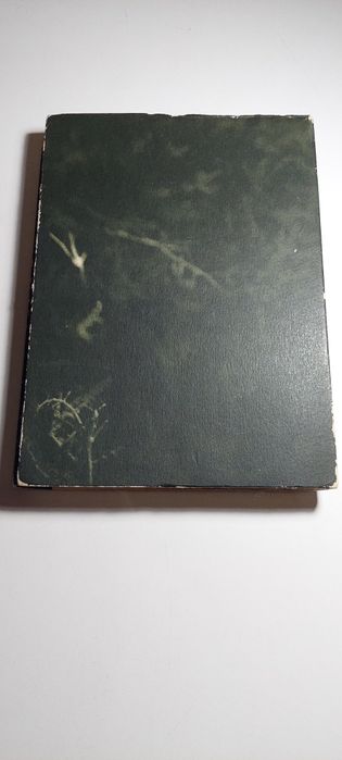 A Vida Ignorada de Florbela Espanca - Maria Alexandrina (1964)