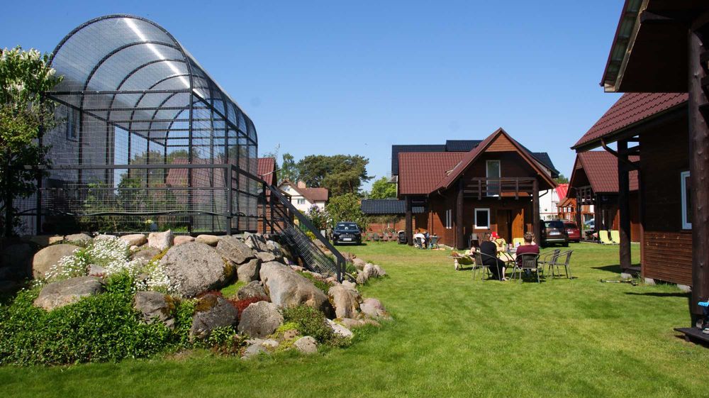 Domki Dębki nocleg wynajem