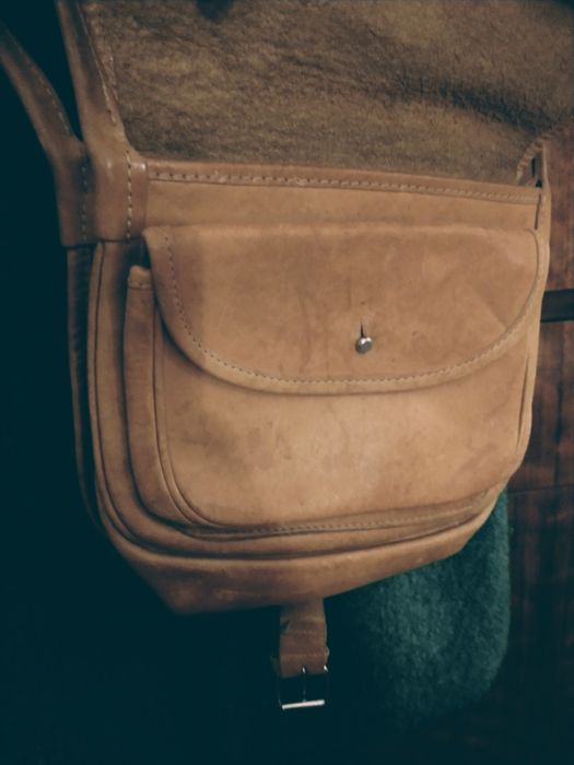 Karmelowa listonoszka